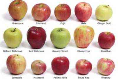 أصناف التفاح الأحمر: أفضل الأصناف