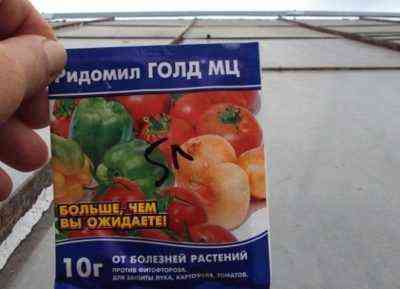 استخدام ريدوميل للطماطم