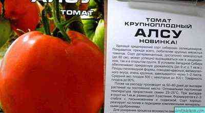 الطماطم الأكثر شعبية لسيبيريا