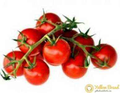 قواعد لزرع الطماطم في بذور الأرض المفتوحة