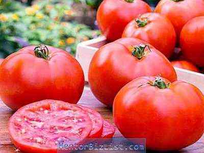 كيفية استخدام حمض البوريك لمعالجة الطماطم