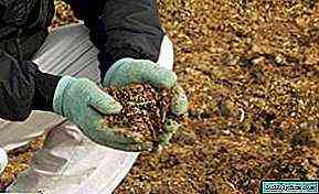 كيفية استخدام فضلات الحمام لتخصيب التربة