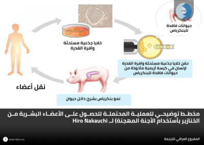 مبدأ التلقيح الصناعي للخنازير