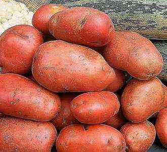 وصف أصناف البطاطا ديزيريه