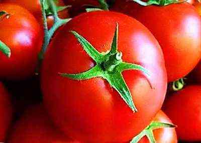 وصف أصناف الطماطم ليانغ