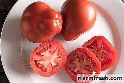 وصف طماطم الكمثرى