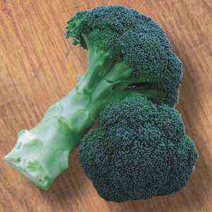 وصف Green Magic Broccoli