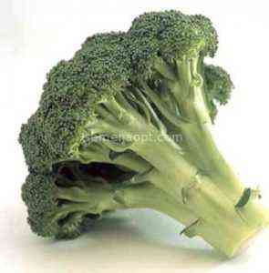 وصف Macho F1 Broccoli