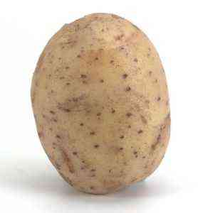 وصف Potato Lady Claire