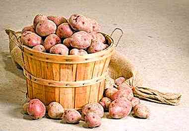 قواعد لتخزين البطاطس في القبو في الشتاء