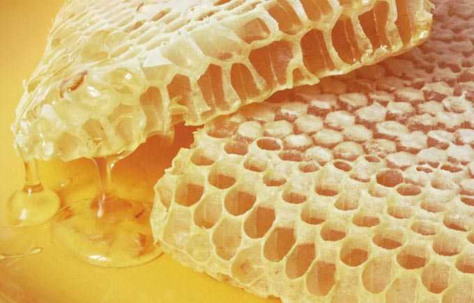 هل من الممكن أكل الشمع مع العسل في أمشاط