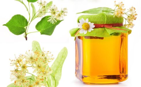 العسل مع غذاء ملكات النحل: الفوائد وكيفية التمييز بين المزيف