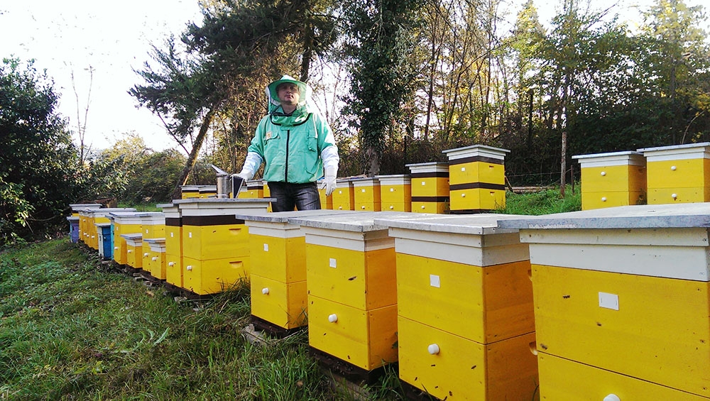 القانون الاتحادي "بشأن تربية النحل"