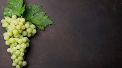 أوراق العنب - خصائص مفيدة وخطيرة لأوراق العنب ، السعرات الحرارية ، الفوائد والأضرار ، خصائص مفيدة