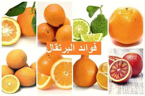 البرتقال ، السعرات الحرارية ، الفوائد والأضرار ، خصائص مفيدة