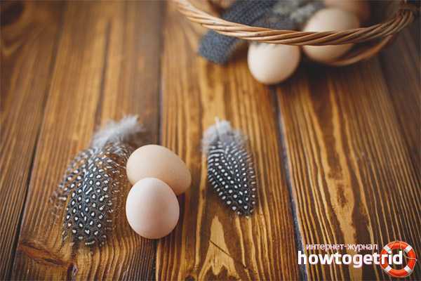 بيض دجاج غينيا ، السعرات الحرارية ، الفوائد والأضرار ، خصائص مفيدة