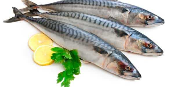 سمك الهلبوت ، السعرات الحرارية ، الفوائد والمضار ، خصائص مفيدة