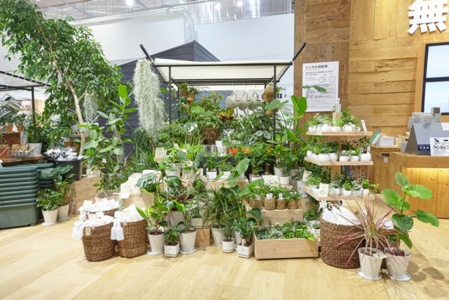 جناح مبيعات النباتات المنزلية في مركز تسوق