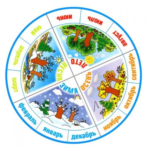 التقويم القمري للبستاني والبستاني لشهر نوفمبر 2020-الرعاية