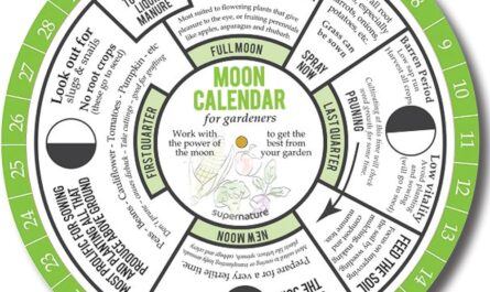 التقويم القمري للبستاني والبستاني لشهر أكتوبر 2020-الرعاية