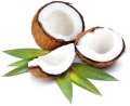 Kokosový olej, Kalorie, výhody a poškození, Užitečné vlastnosti –