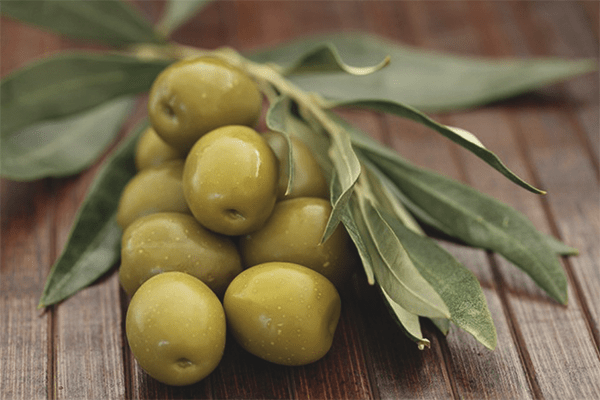 Olivy, Kalorie, výhody a škody, Užitečné vlastnosti –