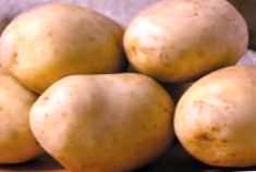Vánek z odrůd brambor -