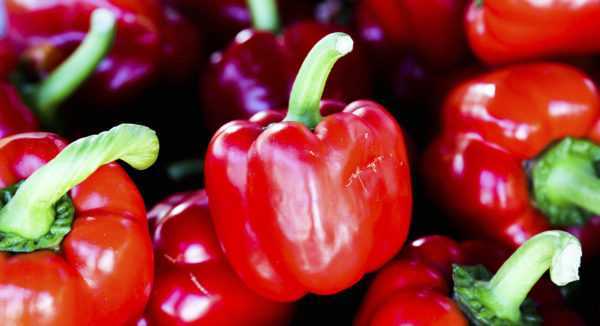 Charakteristika odrůdy paprik Tepl. -