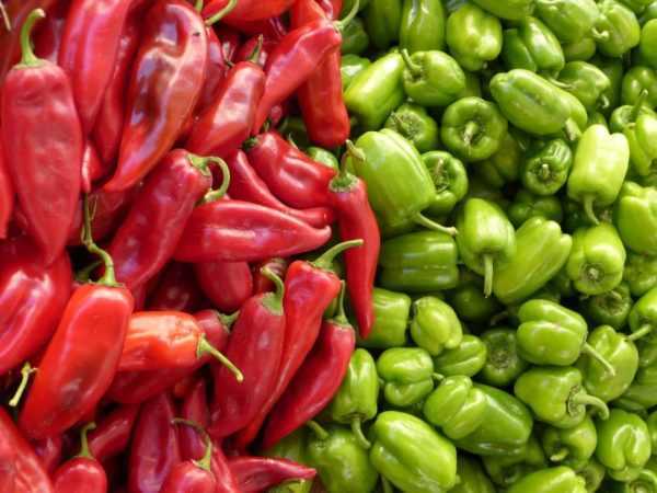 Charakteristika odrůdy paprik Zorka -