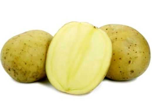 Vlastnosti brambor Karatop –