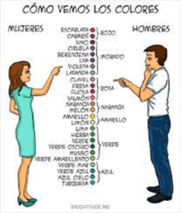 Jak můžete rozlišovat mezi mužem a ženou? -