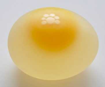 Kdy obvykle začínají vnitřní vejce? –