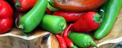Pěstování chilli papriček doma -