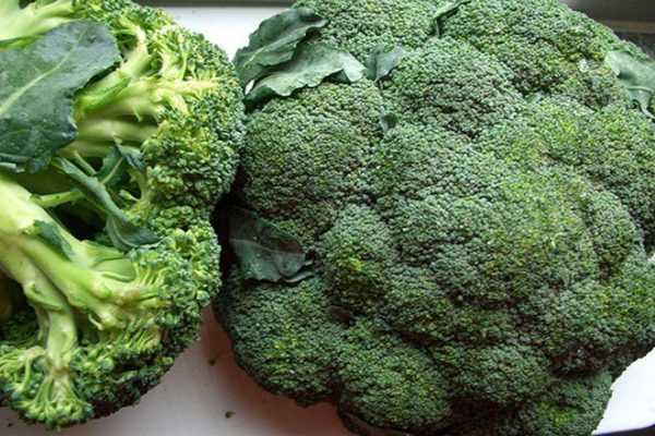 Přehled bohatství brokolice –
