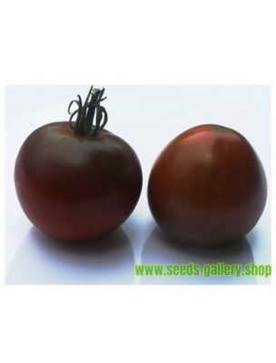 Popis odrůdy brambor Black Prince -