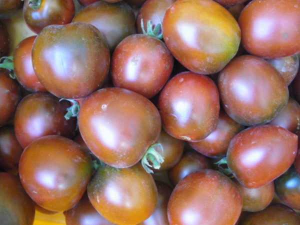 Popis De Barao Černé rajče -