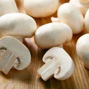 Mléčné houby, Kalorie, výhody a poškození, Užitečné vlastnosti –