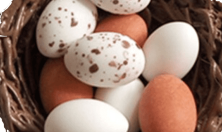 Holubí vejce, Kalorie, výhody a poškození, Užitečné vlastnosti -