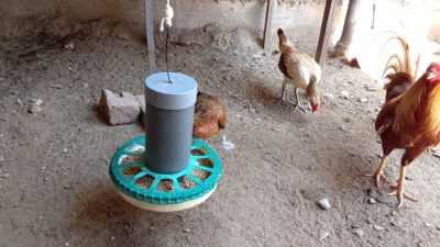 Stavba krmítka pro kuřata -