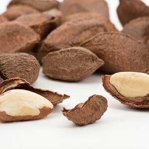 Vodní ořech, Kalorie, výhody a poškození, Užitečné vlastnosti -