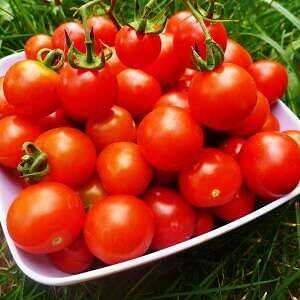Cherry rajčata, Kalorie, výhody a poškození, Užitečné vlastnosti -