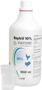 Anwendung von Baytril bei Puten