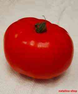 Beschreibung der Gina-Tomaten