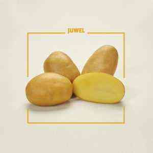 Beschreibung der Juvel-Kartoffeln