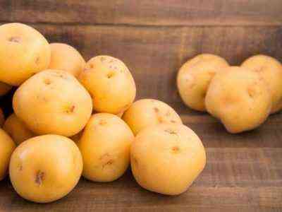 Beschreibung der Kartoffeln Ermak