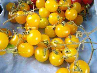 Beschreibung der Tomatensorte Cherry Yellow