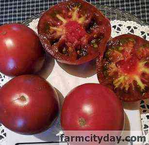Beschreibung der Tomatensorten Sachalin