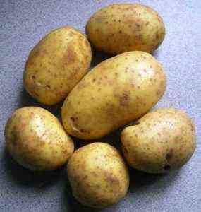 Beschreibung von Potato Sylvanas