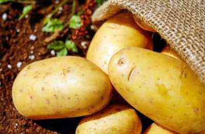 Eigenschaften der Kartoffelsorten Crohn
