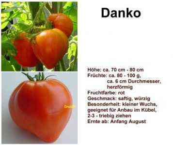 Eigenschaften der Tomatensorte Danko